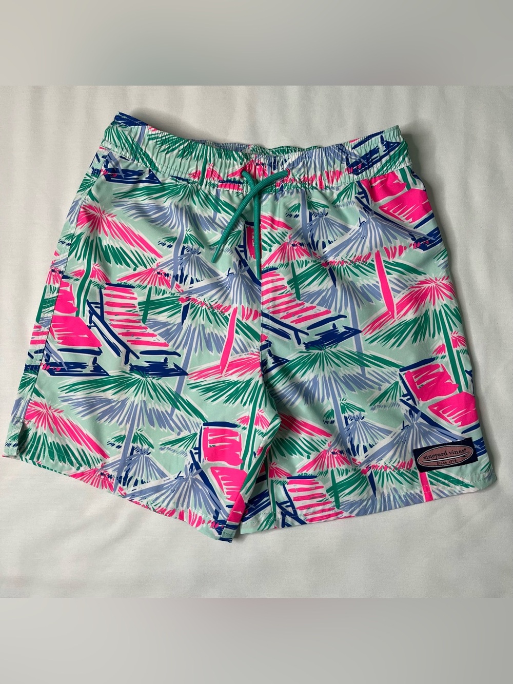 Vineyard Vines Chappy Swim Trunks/Shorts. Boys Size Small. Pink, Green & Blue